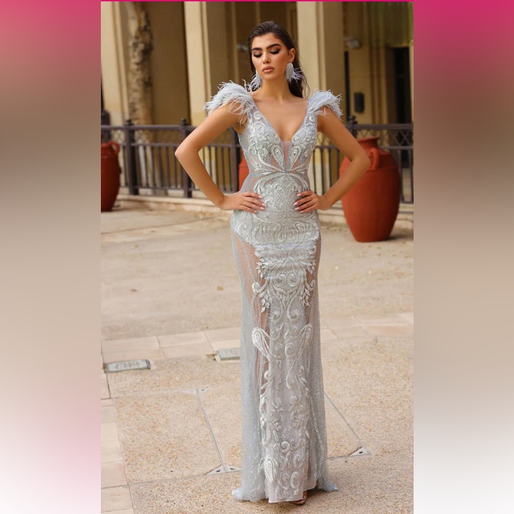 Stunning Portia and Scarlet Gown size 4